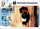 Dr Jim Stamps Maximum Card Snowy Egret Bird 37C Redheaded Woodpecker Combo Fdc