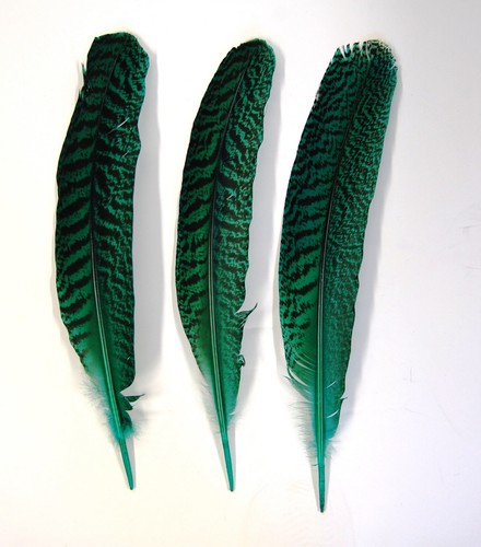 DYED PEACOCK QUILLS 10"-14" Feathers New & Top Quality! Many Colors! Craft/Hats - Picture 5 of 11