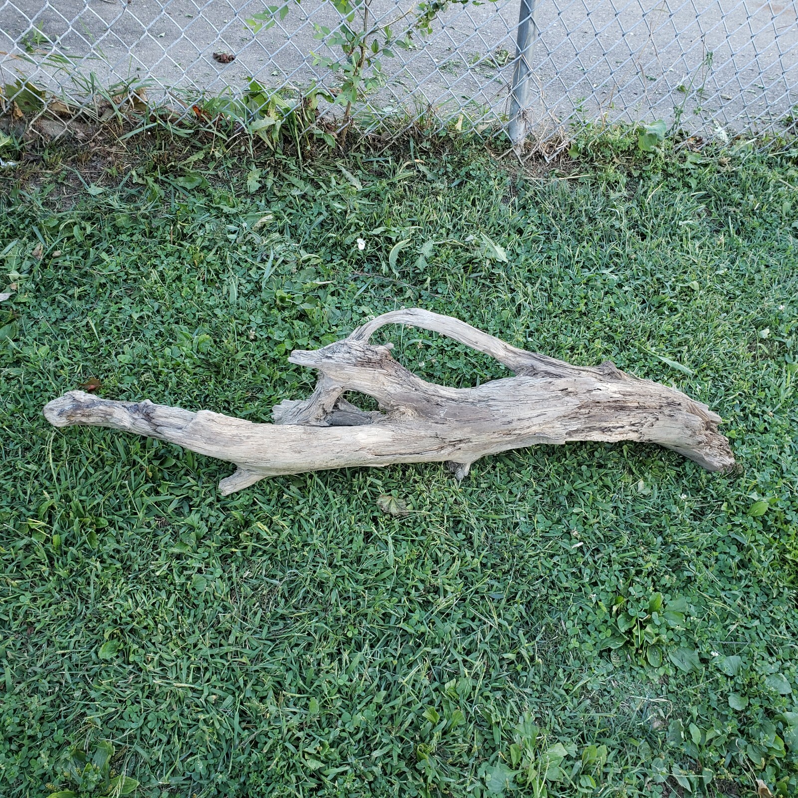 Picture 3 of 12
