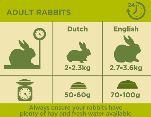 Burgess Excel Adult Rabbit Food Nuggets with Mint 10kg - Picture 3 of 4