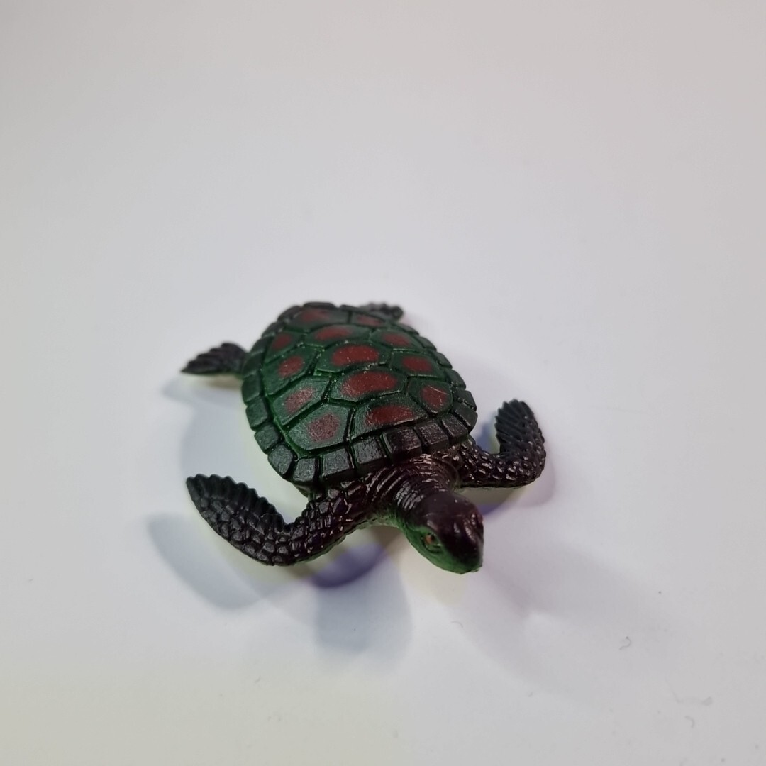 Picture 17 of 18