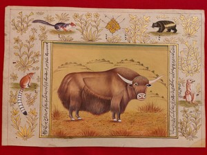 Hand-Painted-Yak-Animal-Miniature-Painting-India-Art-Nature-on-Paper-Rice