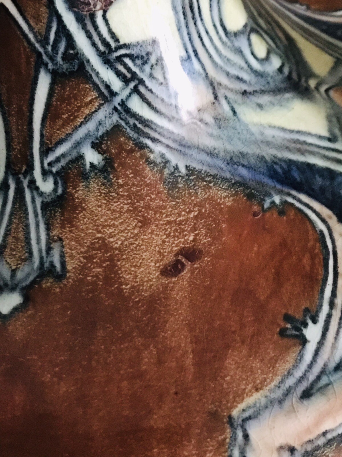 Picture 19 of 20
