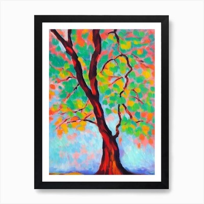 Box Elder tree Abstract Block Colou Framed Wall Art Poster Canvas Print Picture