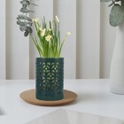  Blumen Kübel Outdoor Kleine Sukkulententöpfe Blumentöpfe Im Freien