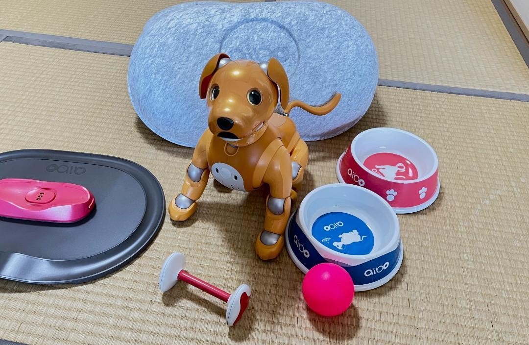 aibo 「ERS-1000」キャラメルエディション 付属品あり Aibo ERS-1000 Caramel Edition Accessories Sony Operation