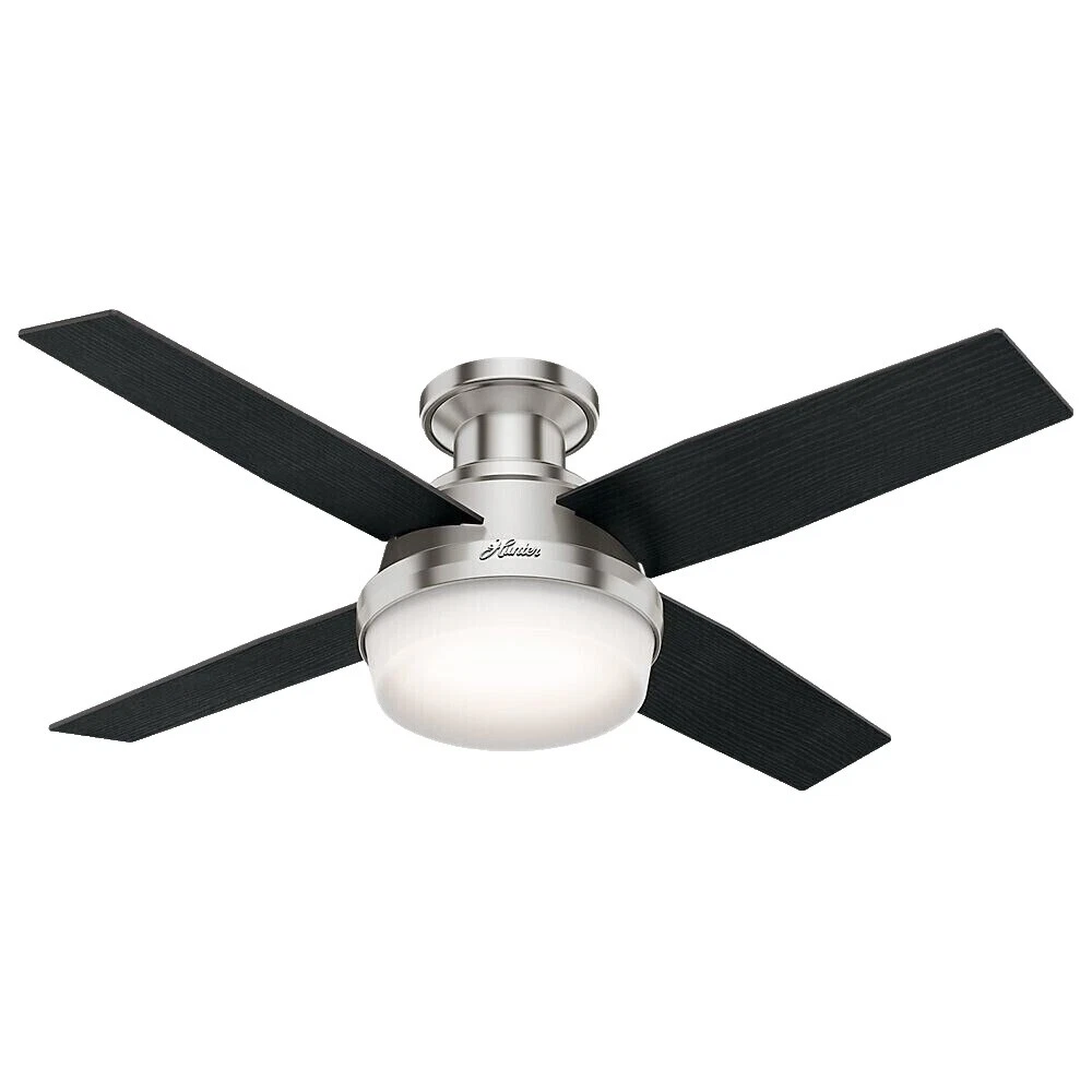 Hunter Black Glass Ceiling Fans