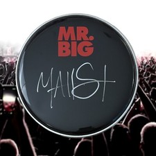 GFA Mr. Big Band Drummer MATT STARR Signed New 10" Drumhead COA