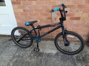 mongoose subject 2011