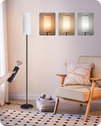 Dimmable Floor Lamp for Living Room, Corner Floor Lamp with Remote, 66'' Stan...