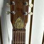 Picture 9 of 24