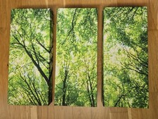 Green Trees Canvas Set Of 3 No Frame