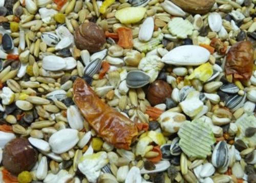 Witte Molen Expert Premium Papagei 15kg Papageienfutter mit Chili ohne Erdnüsse - Bild 3 von 3