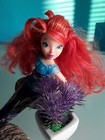 Foto 5 di 14