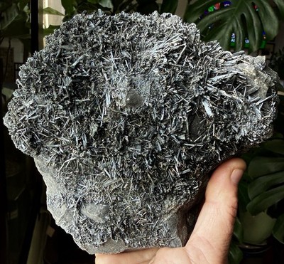 Stibnite On Matrix Dbl Sided! Xikuangshan Mine, Lengshuijiang, Hunan, China