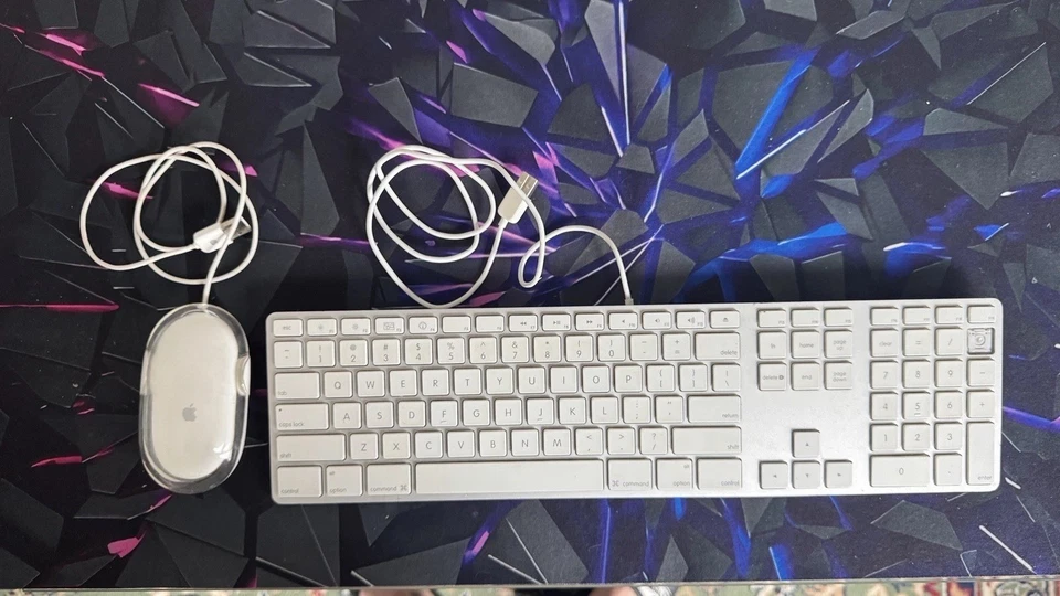 Original Apple Mouse (M5749) and Apple Pro Keyboard (A1243) QWERTY US English
