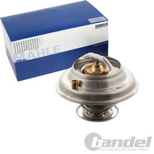 Thermostat Audi 60
