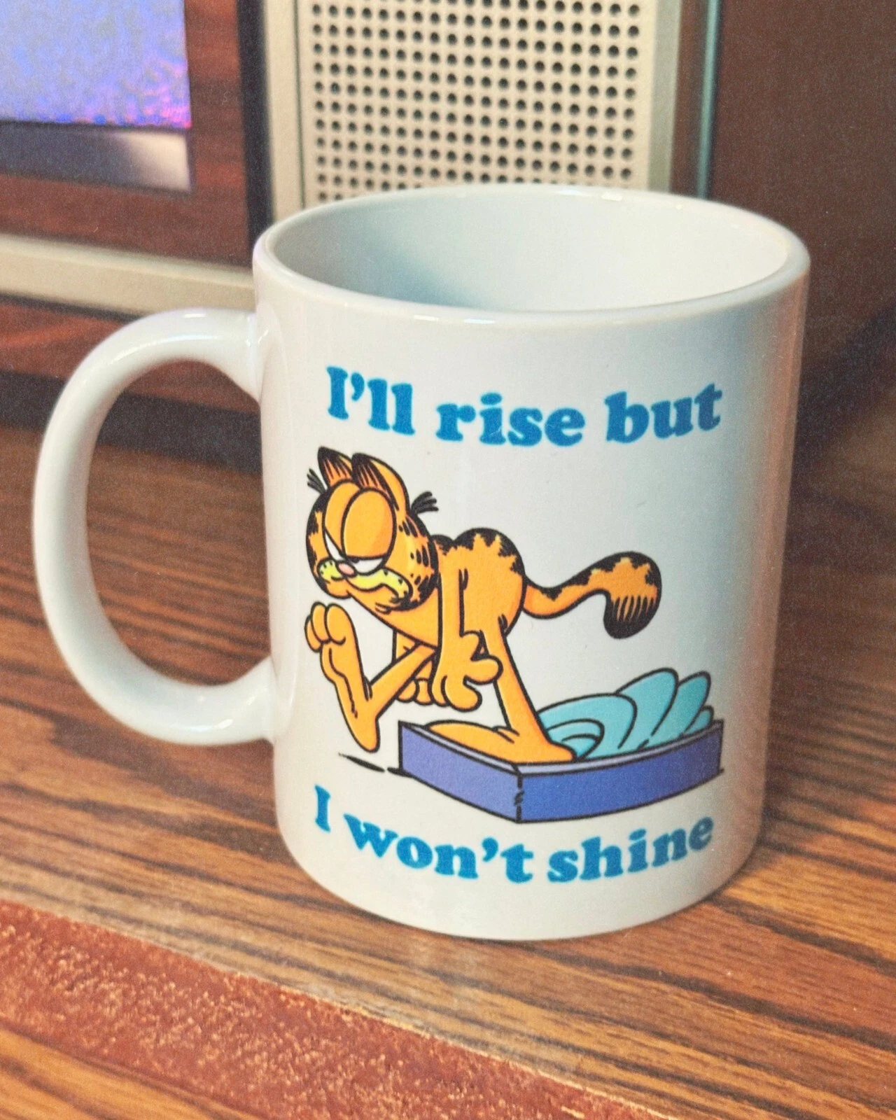 Garfield Rise But I Won Shine Mug