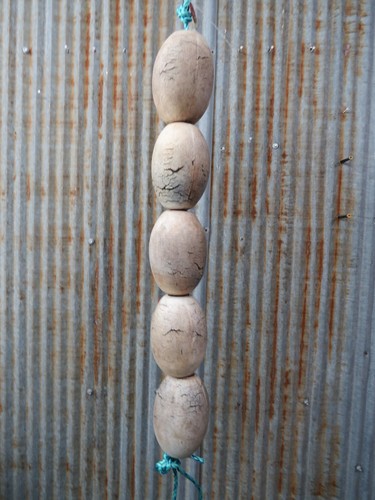 5 Old Fish Net Floats 28 Inches Long Fishing Buoys Bouys Tiki Hut Bar -(SF29)