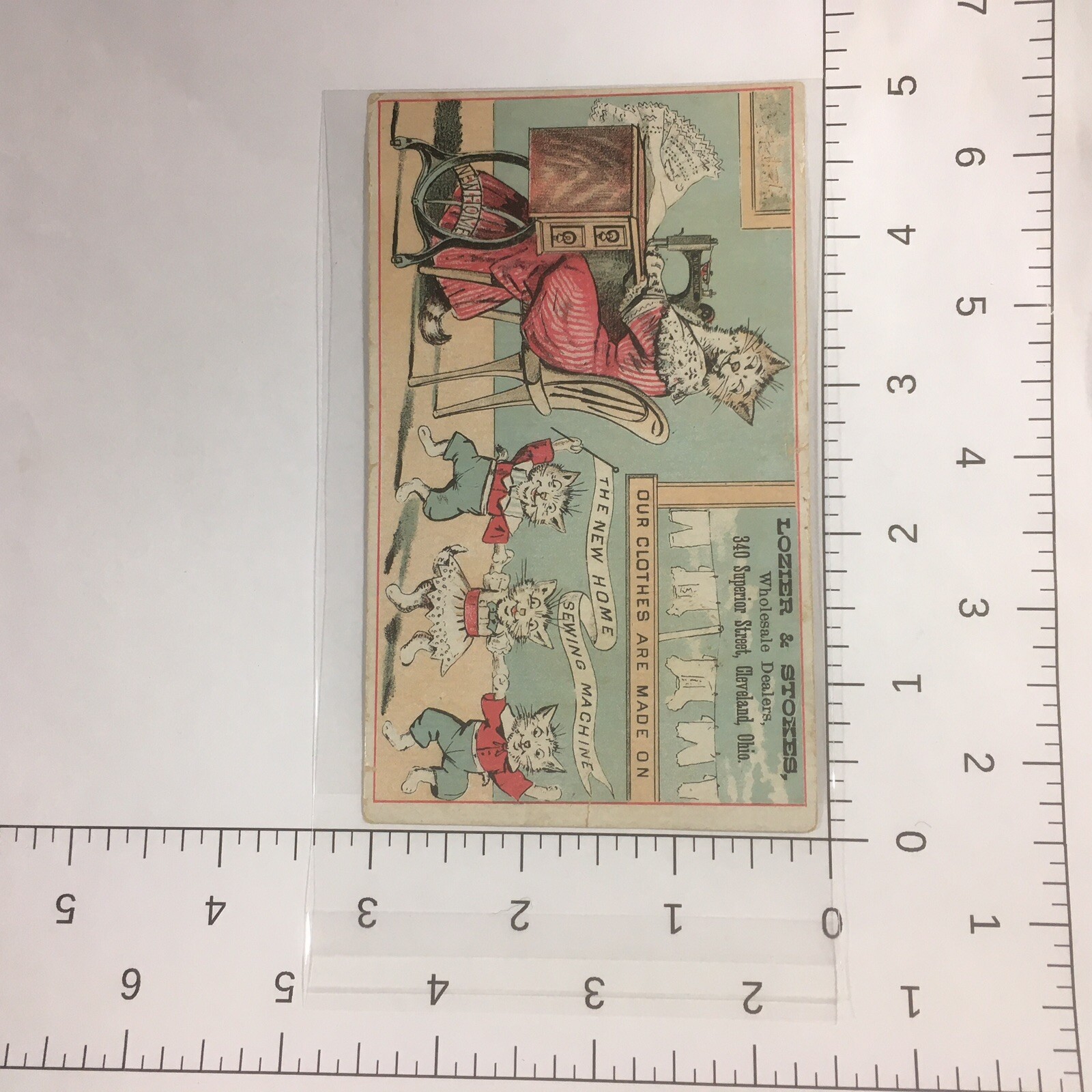 Picture 4 of 4