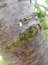 Image Picture Photo Wallpaper Background Beautiful Art Digital # 108