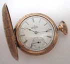 Antique Elgin Fancy Case Closed Face 6s 11j Pocket Watch 1895