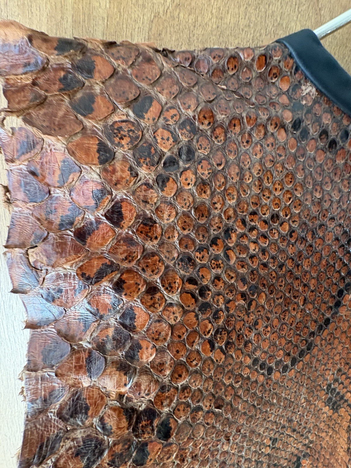 Vintage Python Snakeskin Leather Real Full Size S… - image 10