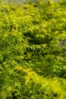 Bild 6 von 9