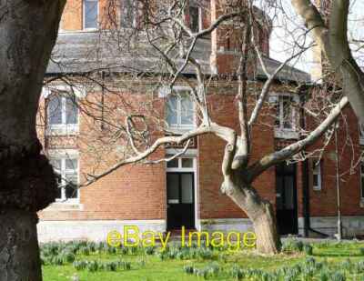 Photo 6x4 Balletic tree Oldway Mansion Paignton Isadora Duncan lived at c2008
