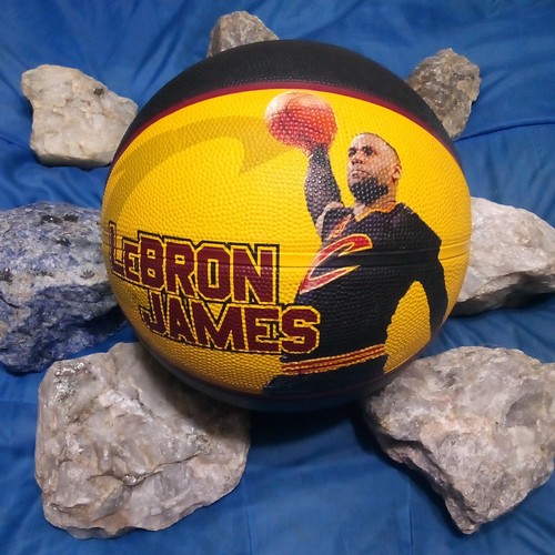 LeBron James Spalding Arena Exclusive Basketball Ball Nice! - Picture 1 of 13