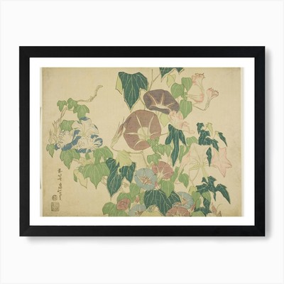 Morning Glory, Katsushika Hokusai A Framed Wall Art Poster Canvas Print Picture