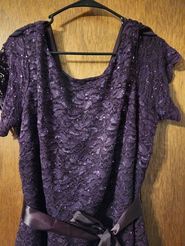 Gorgeous Evening Gown Eggplant Purple Embellished Sparkly Size 18W 2X Onyx Night - Picture 4 of 9