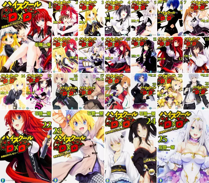 High School DxD Light Novel 1-25 Volume Set [Used]