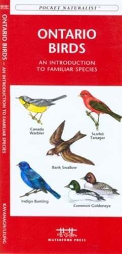 Ontario Wildlife Folding Pocket Guide to Familiar Animals by James Kavanagh