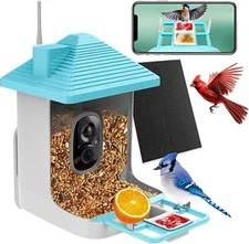 Bird Feeder with Camera Smart Bird House AI Identify Species 2k Cam Live View