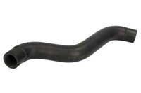 Thermotec DWF079TT KüHlerschlauch FüR 500 1.4 10.07- Fiat