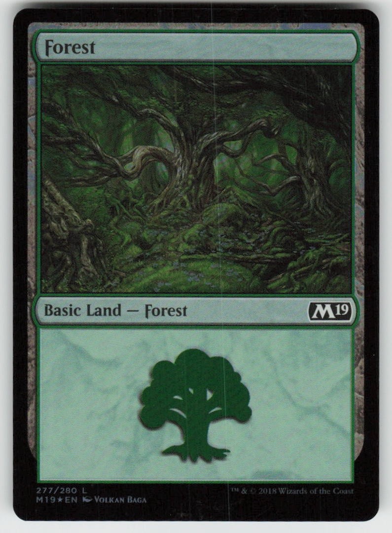 Forest (280) 280 Land Core Set 2019 Magic: The Gathering Foil Near Mint
