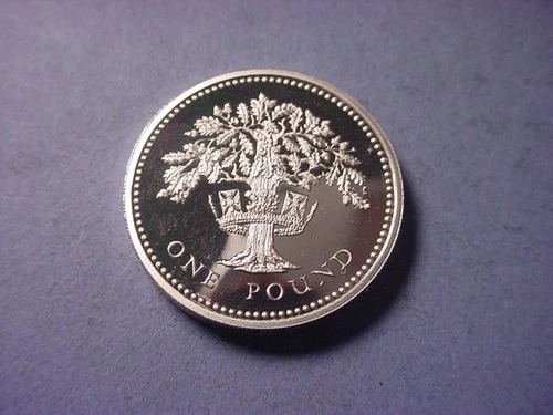 Great Britain 1 Pound Silver Proof 1992 #104096