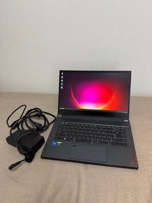 ELSA VELUGA A3000 G3-15 i7-11800H RTX A3000 32GB RAM 2TB SSD 240Hz
