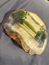 Antique Primitive Folk Art Landscape Oil Painting on Tree Fungus Waterfall 