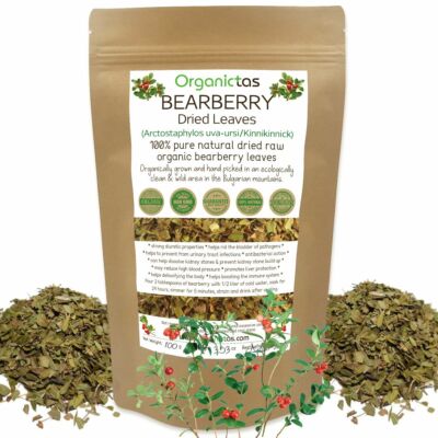 Organic BEARBERRY Leaf Herbal Tea (Arctostaphylos Uva Ursi) Urinary Tract Detox