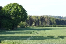 Photo 6x4 Farmland west of Hurn Wood, Syston Marston/SK8943 Looking sout c2011