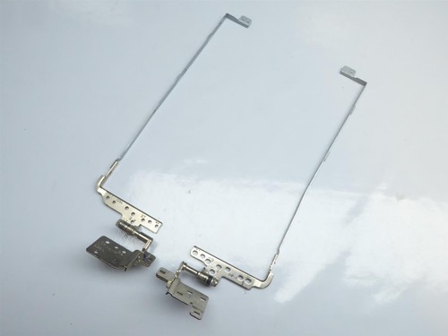 Dell Inspiron P25F001 Displayscharniere inkl. Leisten Hinges AM00F000100 #4094