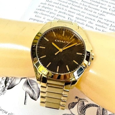 COACH TRISTEN brown tiger's eye stone dial WATCH 14502053