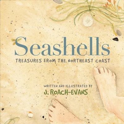 Seashells: Treasures from the Northeast Coast by 