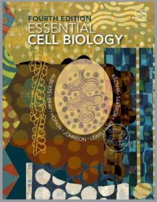 Essential Cell Biology, 4th Edition - Hardcover By Alberts, Bruce - ACCEPTABLE
