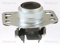 Motorlager Triscan 8505 25107 FüR Renault Clio 2 Kangoo FC0 KC0 Thalia 1 SB0 16V