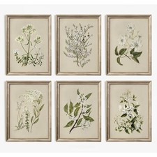 Vintage Botanical Wall Art Set of 6 Neutral Floral Canvas Wall Decor Wildflow...