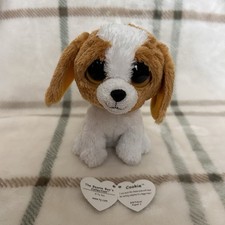 Ty Beanie Boos COOKIE Beagle Dog 6" Plush Stuffed Animal Toy