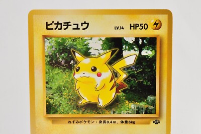 Pokemon card TCG Pikachu No.025 Old Back Jungle Non Holo 1997